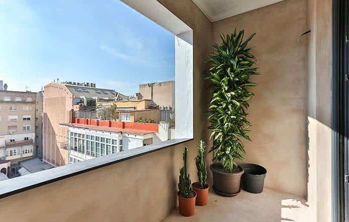 Piso Pau Claris Harry 6